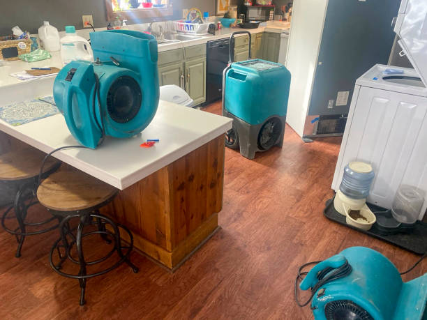 Best Commercial water damage restoration  in Wyoming, IL