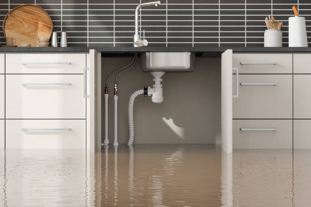Best Water damage contractors near me  in Wyoming, IL