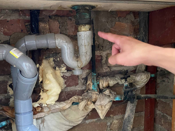 Best Water damage restoration near me  in Wyoming, IL