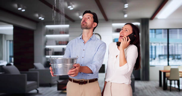 Best Professional water damage repair  in Wyoming, IL