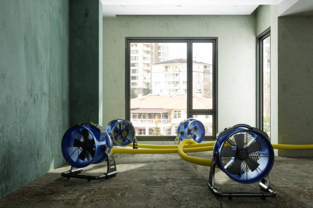 Reliable Wyoming, IL Water damage restoration Solutions