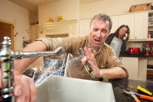 Best Ceiling water damage repair  in Wyoming, IL